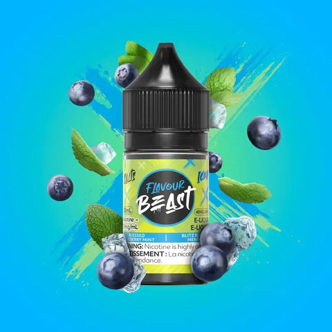 Flavour Beast 10% E-Juice Salt-Nic - Blueberry Mint Ice - E-Liquids 10% Salt-Nic
