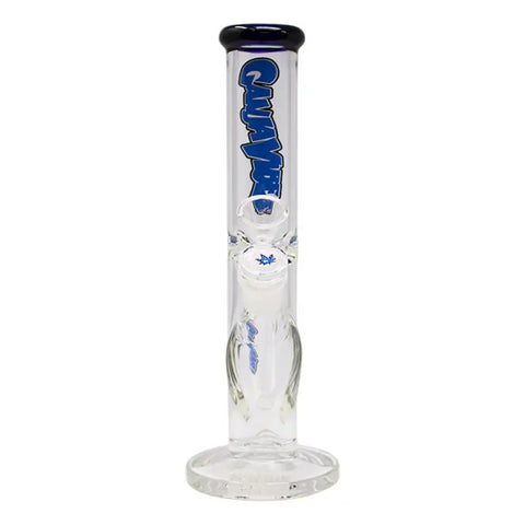 Ganjavibes Blue Straight Tube with Ice Catcher 10 Inches Glass Bong - Bongs