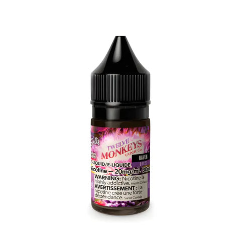 Twelve Monkey-Iced - Haven - E-Liquids 20% Salt-Nic